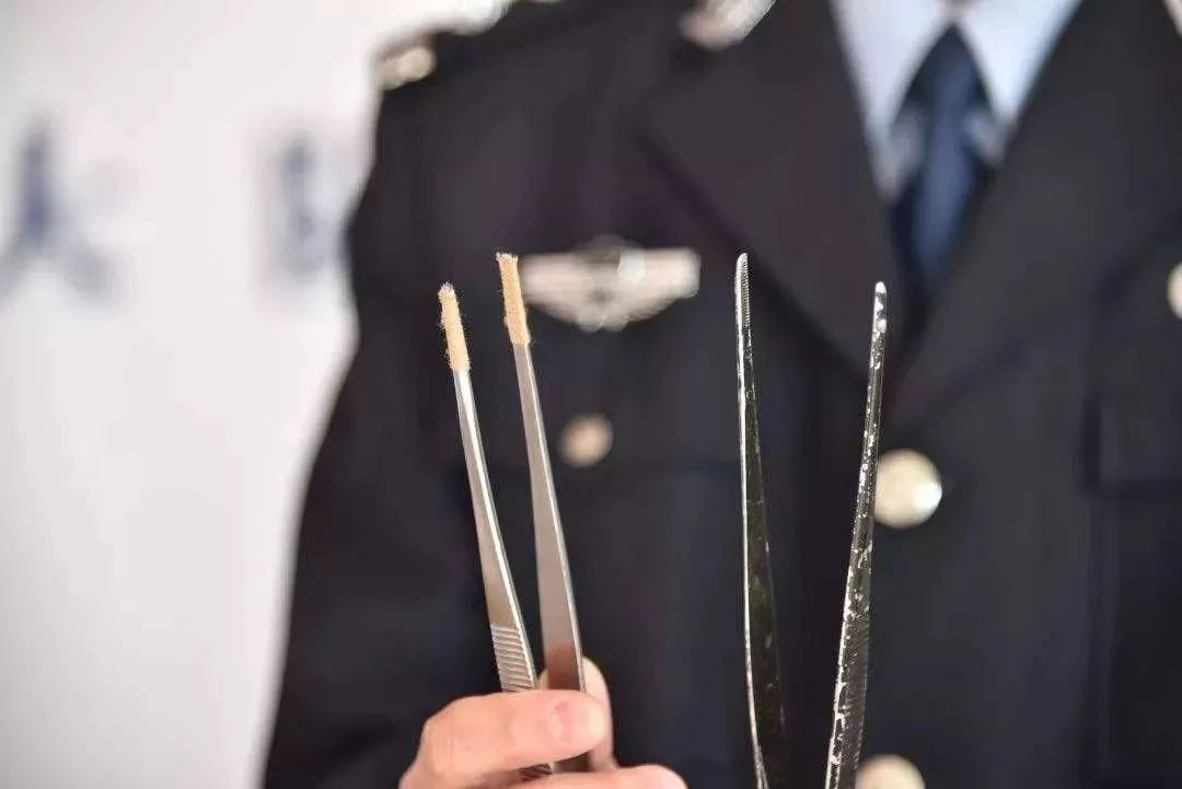 快过年了，这份安全防范手册，请收好