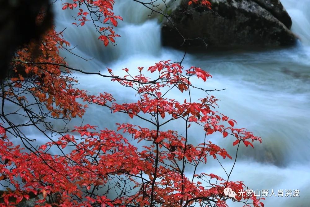 巴中光雾山红叶红,巴中打车去光雾山看红叶
