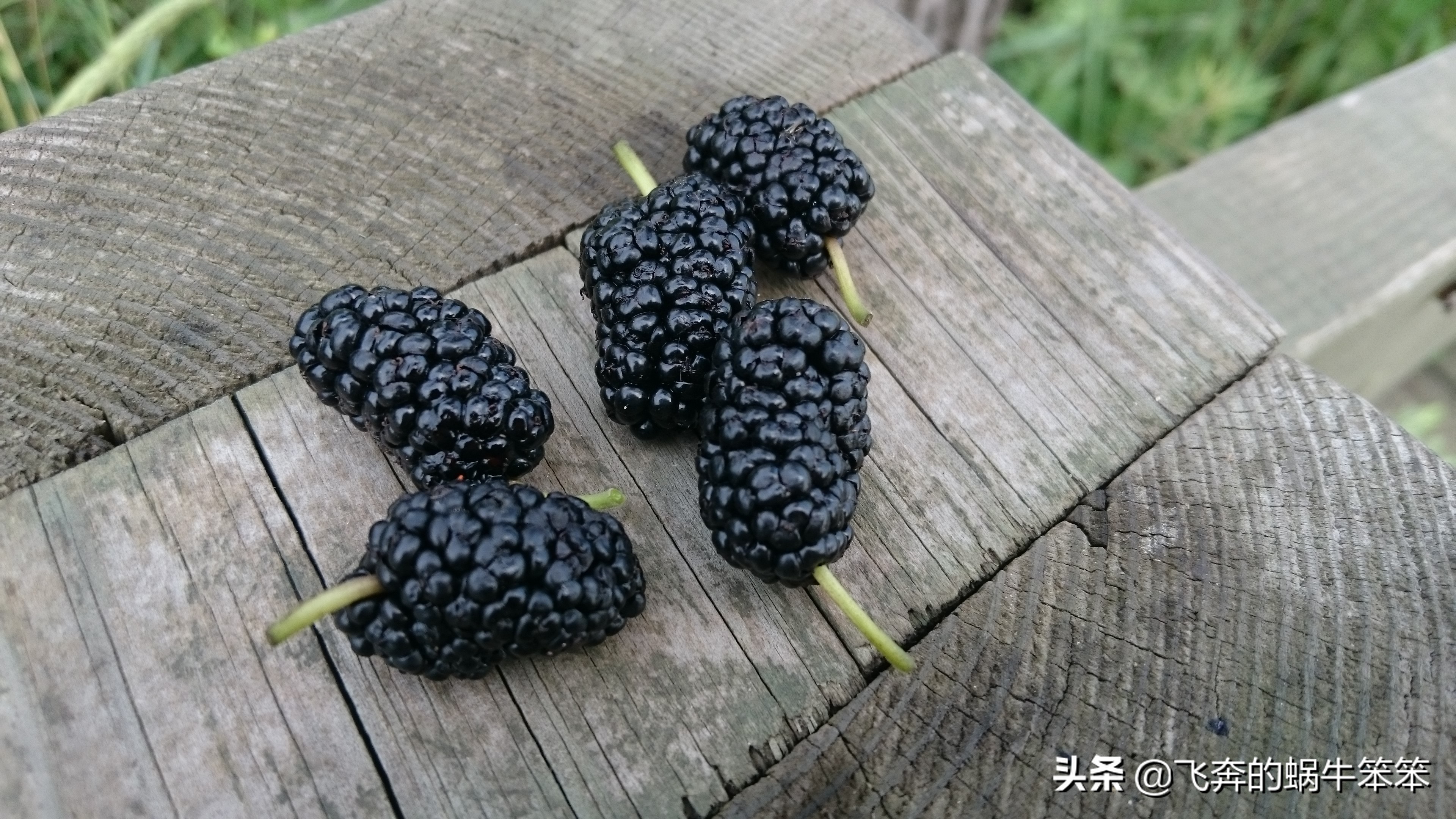 乐亭月岛赶海攻略,赶海看日出