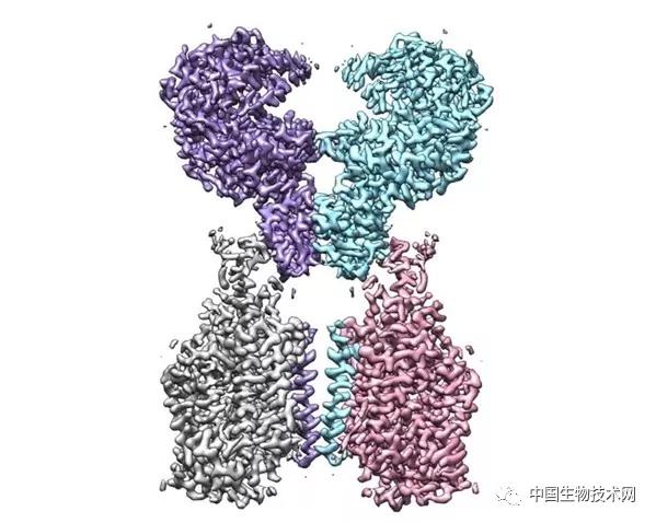 西湖大学新冠肺炎,中国新冠病毒夺去了多少人的生命