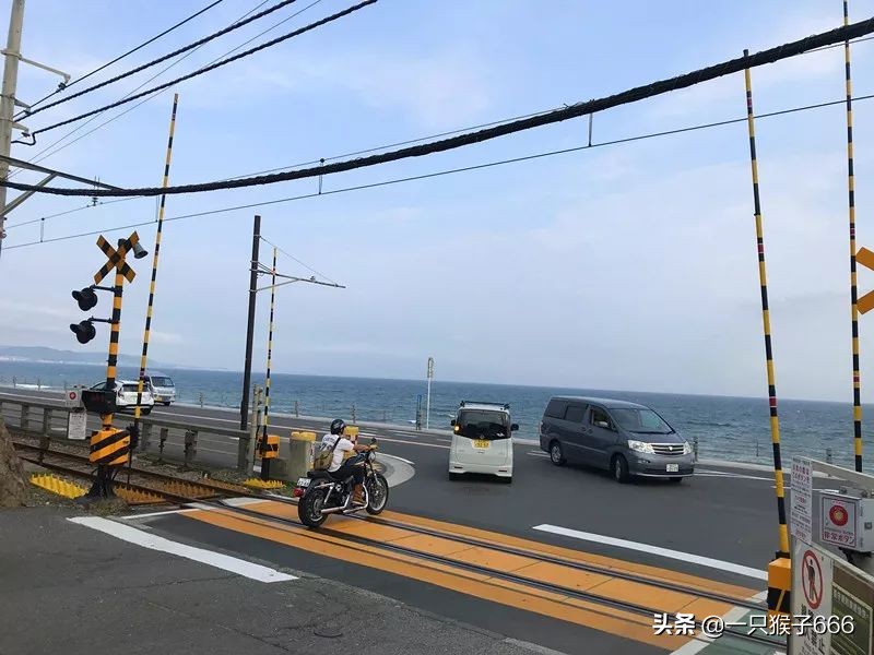 日本镰仓旅游攻略学生,日本镰仓自由行攻略