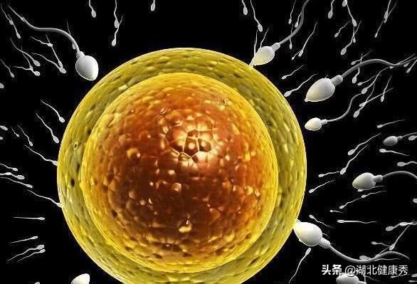 做试管婴儿之前，只要把这5个地方搞明白，以后都不用问医生