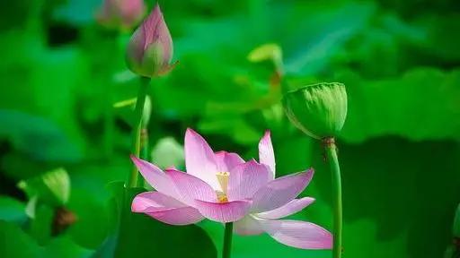 2020门诊禁止输液的53种病种