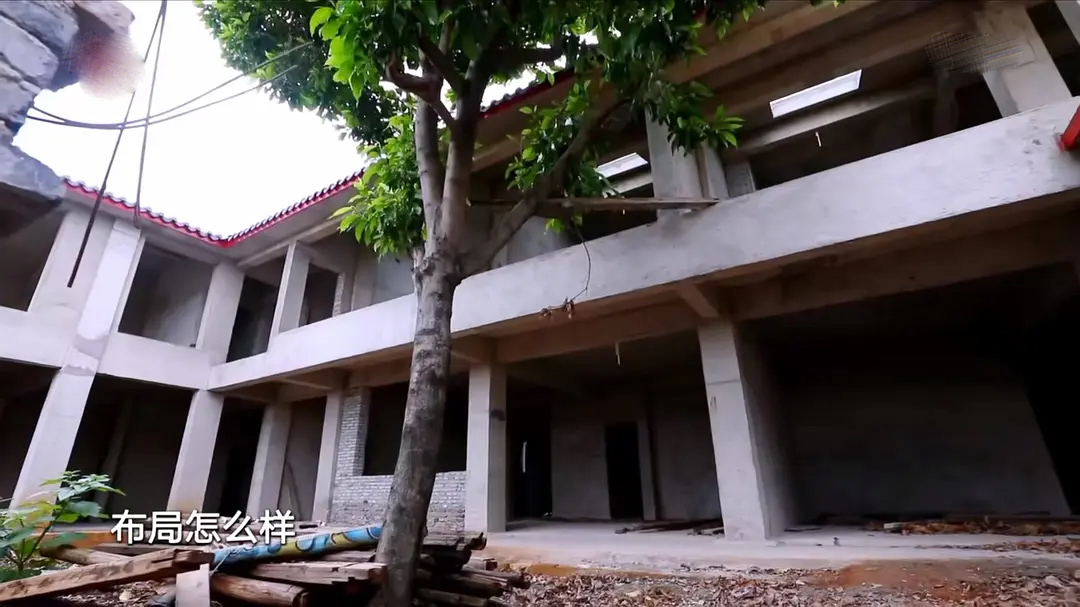 5位单身阿姨,抱团买房养老,520平189W装成山间别墅