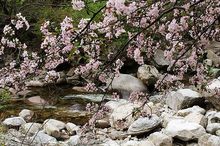 凤凰峡岭南小九寨原生态景区，素有“广东九寨沟”之美誉。不错吧