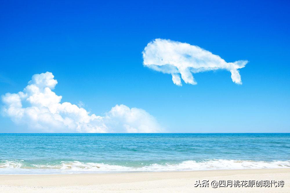 表达对故乡大海的眷恋的现代诗,对大海的眷恋的短现代诗