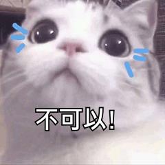 家纺采买攻略,家纺购物攻略