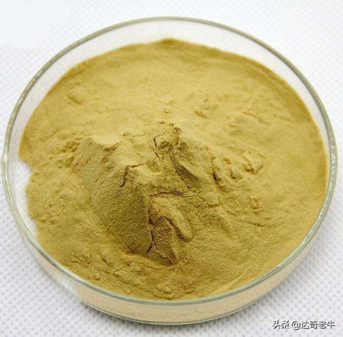 有什么常见的东西可以当鱼饵,生活中的什么东西可以钓鱼