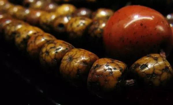 星月菩提石玉料怎么分辨好坏,星月菩提奶奶灰怎么区分好坏