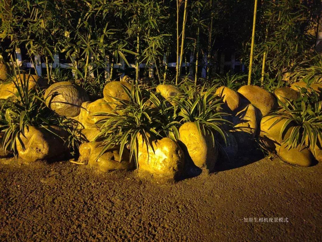 千元机变万元机,千元机拍照堪比苹果