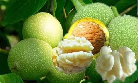 青核桃怎么去皮最快最好方法视频,青核桃如何去皮