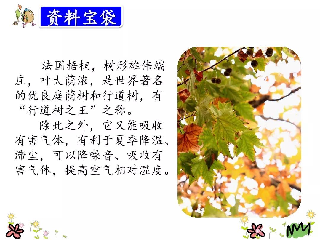 小学部编版三年级上册语文5课,三年级上册语文第5课水泥道朗读