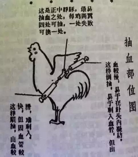 水氢车是技术突破还是骗局,水氢车原理视频