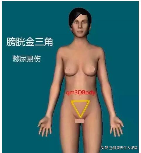 人体的十大危险区是什么,人体危险三角区指的是哪个部位