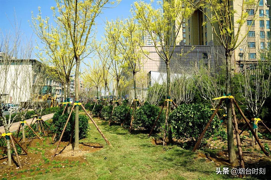 兰州民生工程最新进展,重点民生项目进展清单