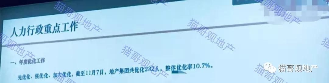 星河地产有国资吗,星河地产有债务风险吗