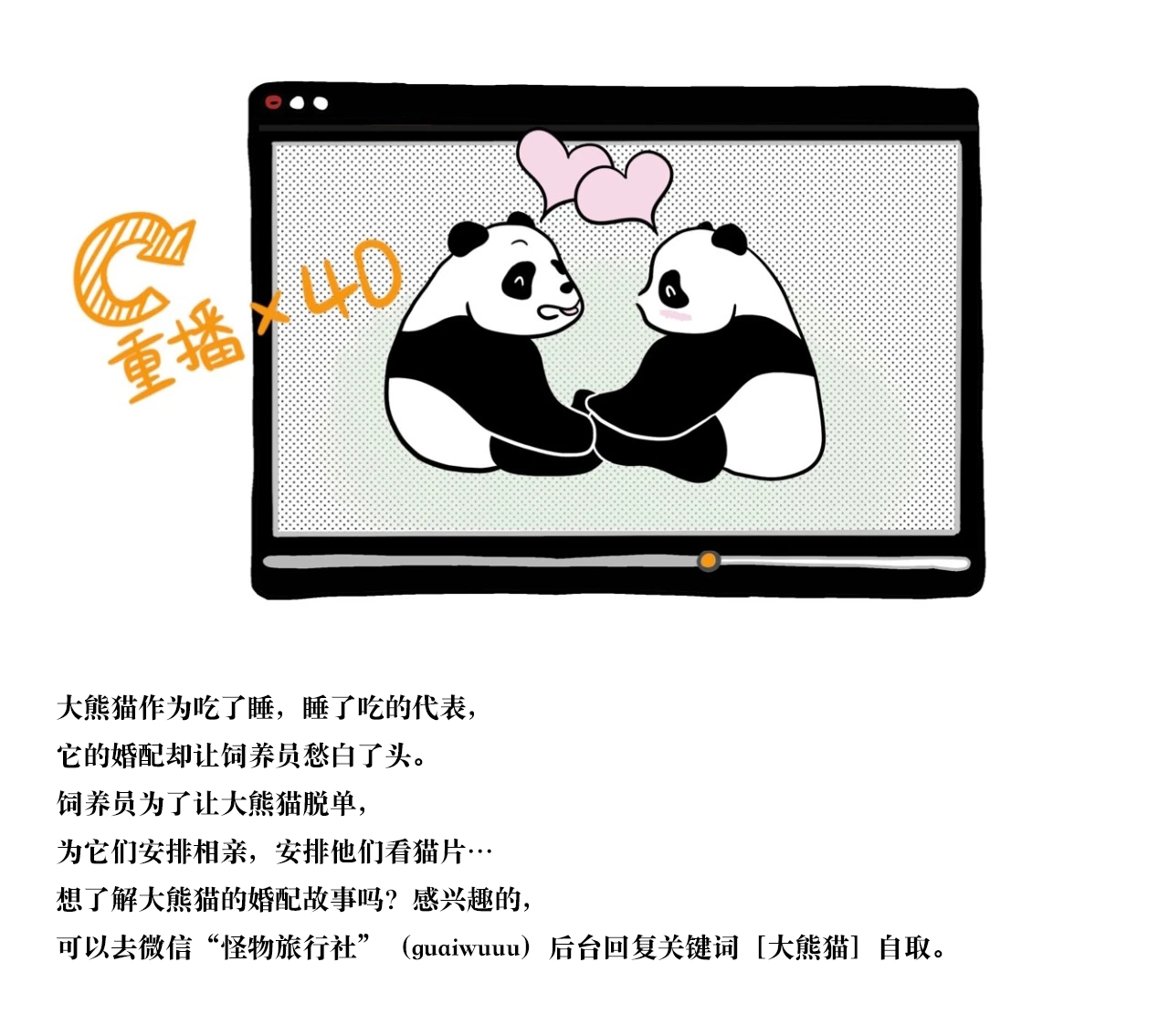 欧洲第一只大熊猫,第一只被带到国外的大熊猫