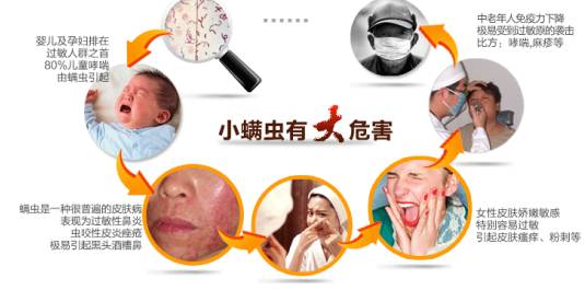 关于乳胶床垫的知识,乳胶枕知识