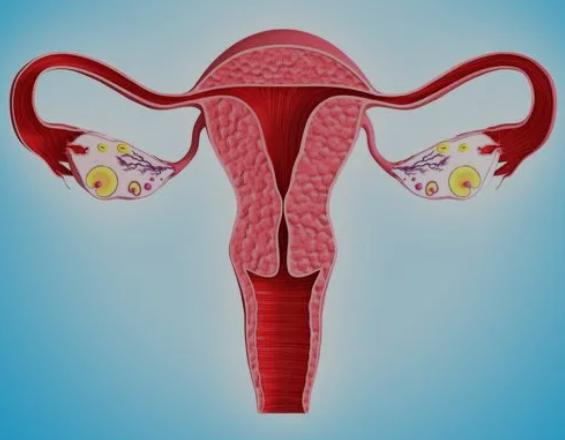 月经总是提前到来,到底是哪里的问题?女性朋友要早了解