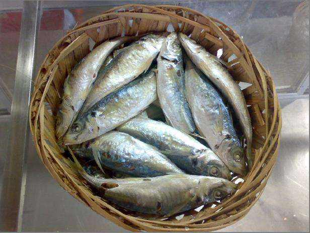 刘伯温死前留下一句话,刘伯温临死前送朱元璋一筐鱼后续