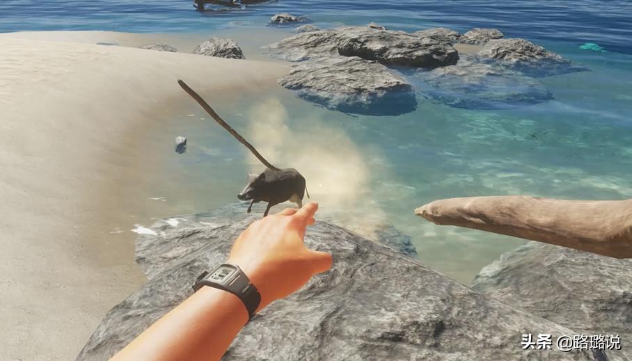 荒岛求生五大基础技能,荒岛求生的基础操作