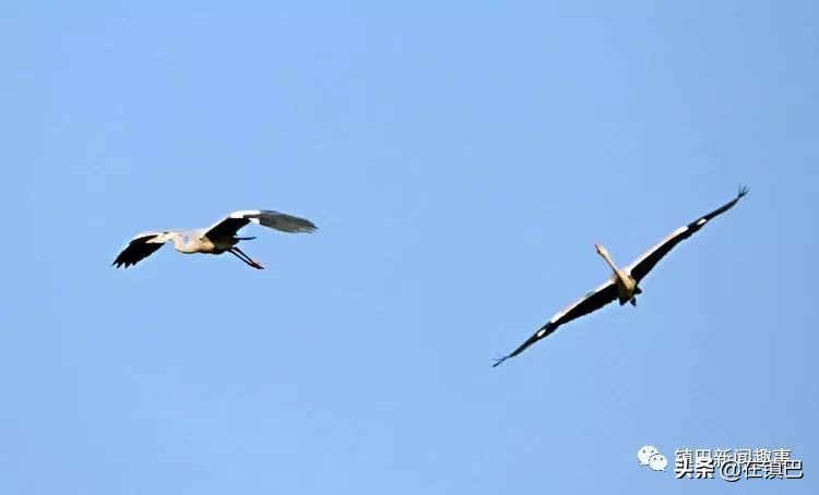 镇巴最美四月天——碾子