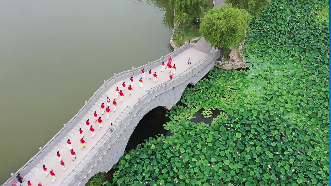 沛县荷花,沛县荷花湿地