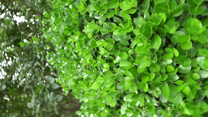 魔爪aircross2是否值得入手,魔爪aircross2功能讲解