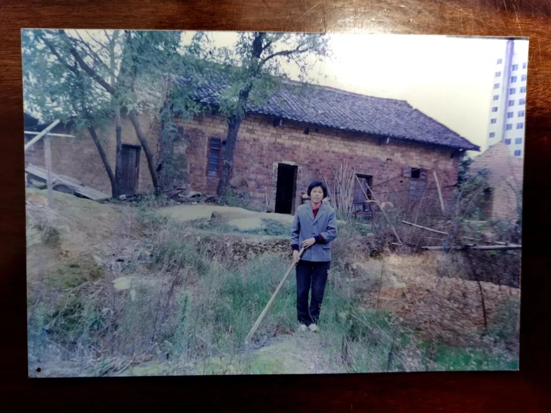 喜剧电影你好李焕英,你好李焕英全部合集