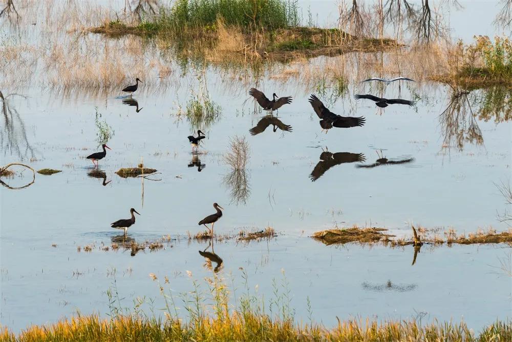 北京房山长阳商圈夜景航拍,北京市房山区航拍夜景