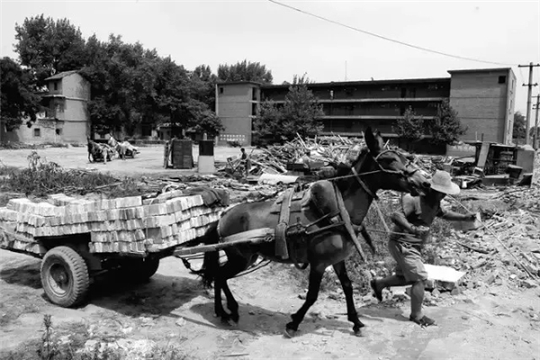 从西安到长安1905-2019沧海桑田（二）