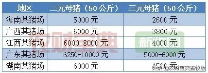 猪上天,猪价上天了