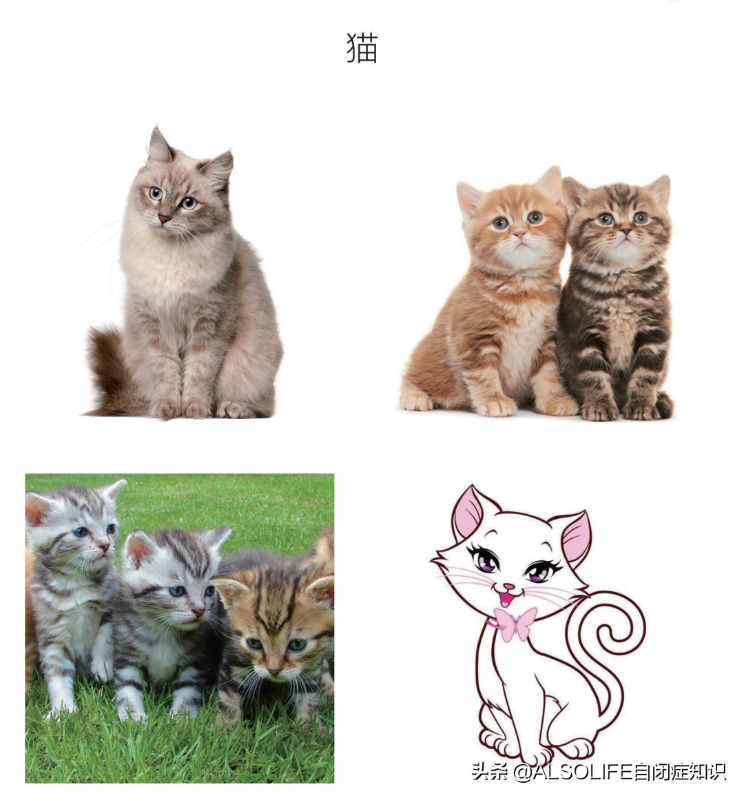 自从教了这个词,我儿子开始说话了!太难了,但值得