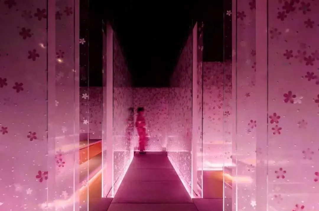 汇聚“世界名流”，绽放本土异彩！FHC自信而来