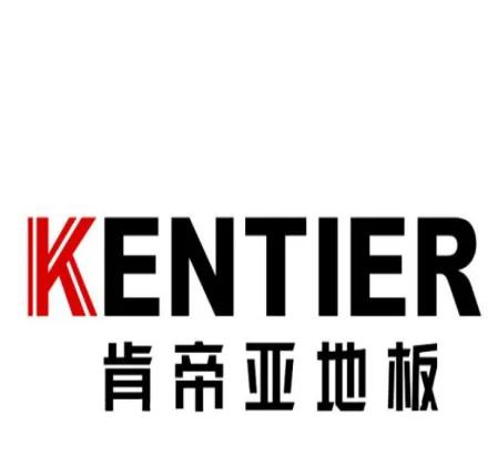 宏耐强化复合木地板是几线品牌,2021复合强化木地板