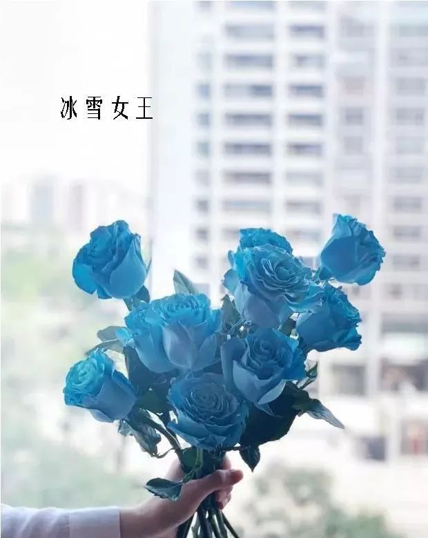 花店里同款的两种不同价格的花材,花店最容易被顾客误解的几种花材