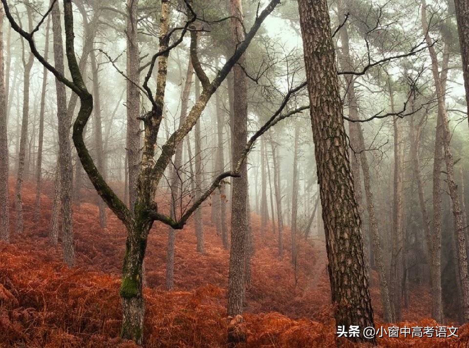 高三语文一轮复习文言文常识题目,高考语文120个文言文实词用法巧记