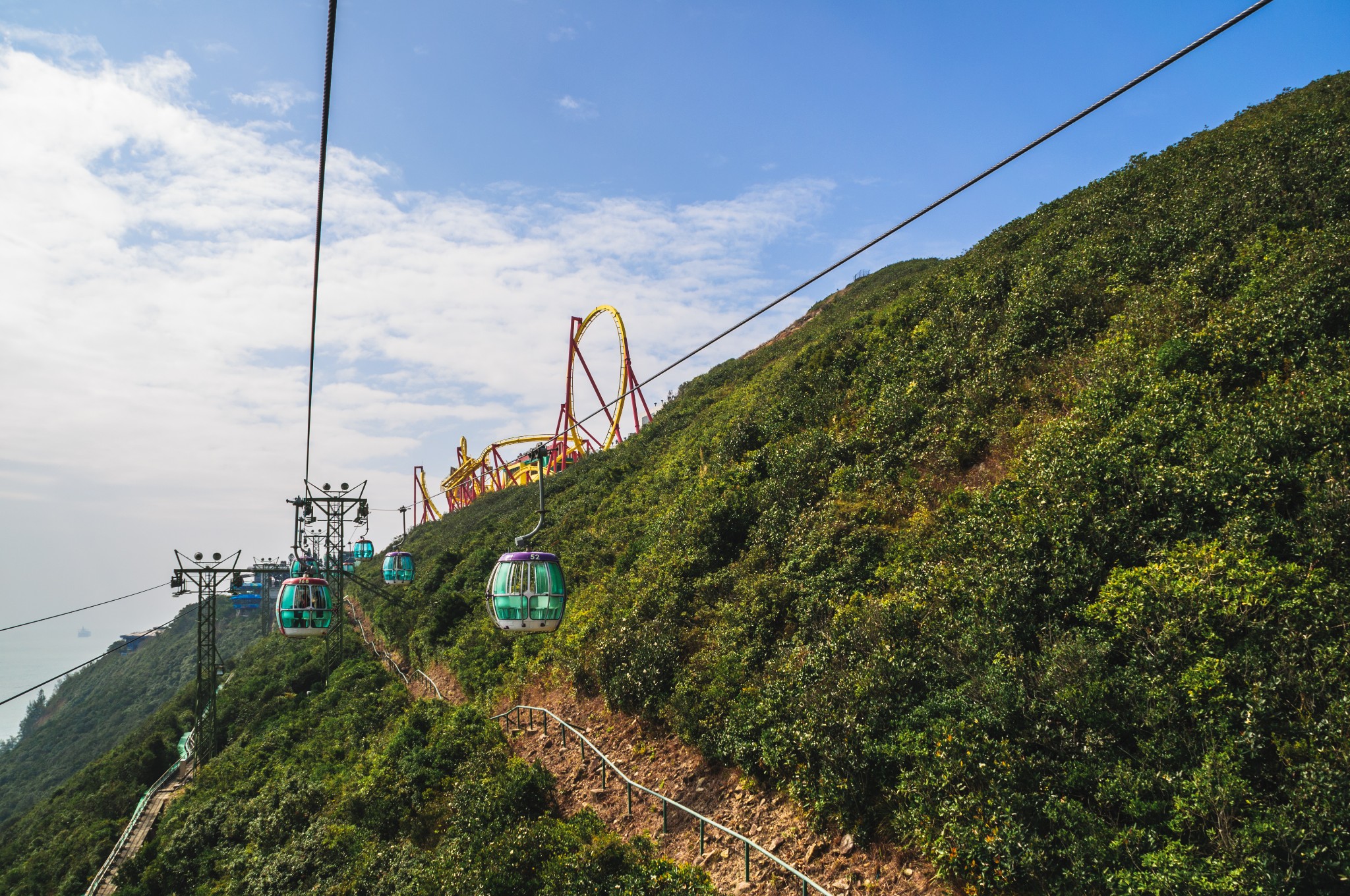 香港海洋公园现在盈利吗,香港海洋公园现在情况