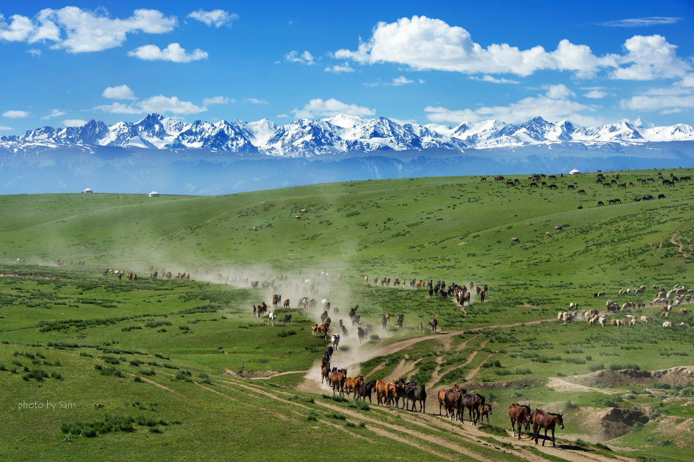 租车自驾北疆环线要多少预算,租车自驾游大概需要多少钱