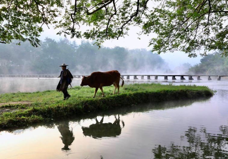 杜牧深秋山林景色,杜牧写田园风光