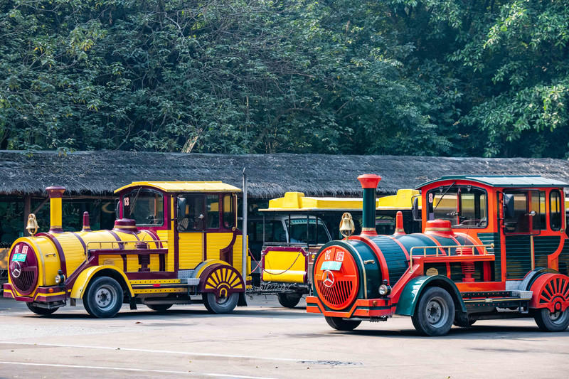 玩转广州长隆野生动物世界之行,广州长隆动物世界游玩攻略图