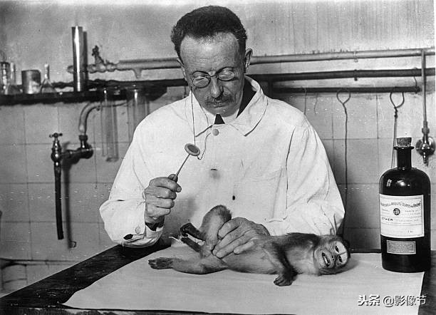 12月1日是个什么特殊的日子,今天是啥特殊的日子十二月十一日