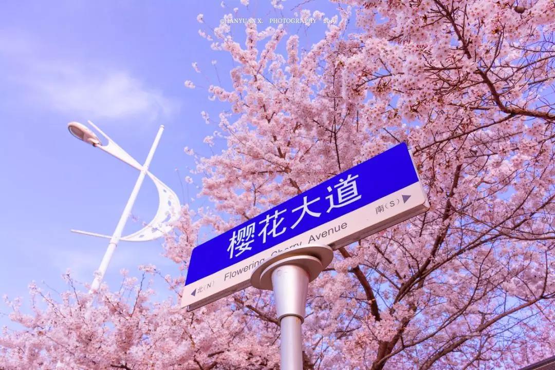 戴口罩的春节,戴口罩的冬天过去了