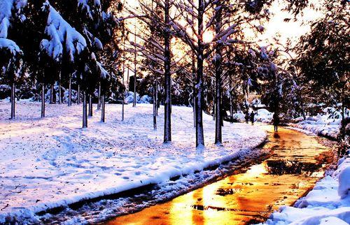 如果你恨一个人就送他去纽约,如果你恨一个人那个人会有报应吗