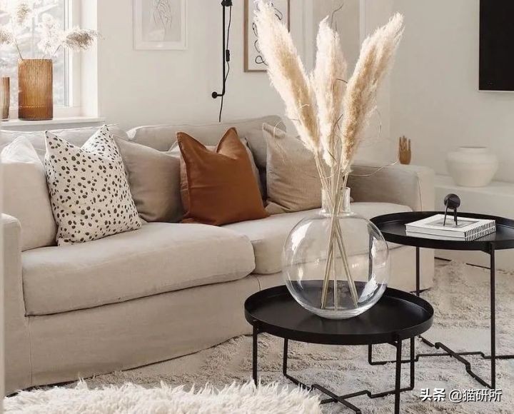 怎么惩罚猫咪挠沙发,猫咪不会挠坏的沙发