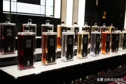 芦丹氏晚香玉,芦丹氏晚香之玉