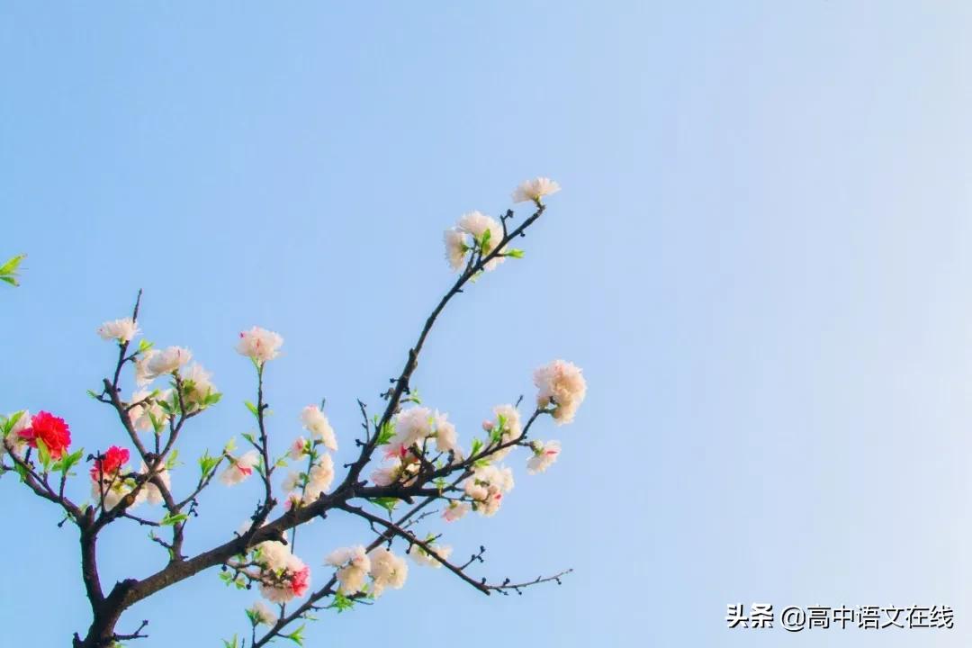 有关春天的诗词或成语,关于春天的成语古诗名句