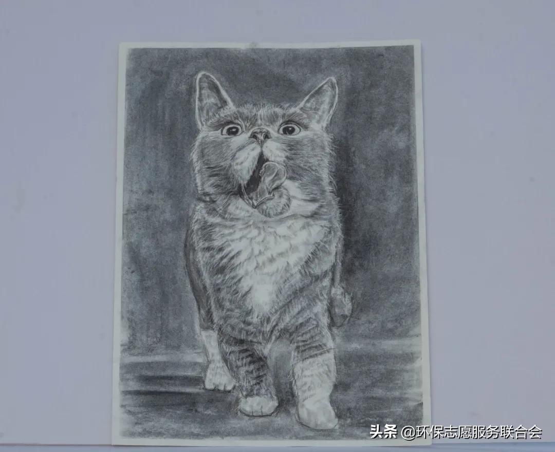 成都高校生态环境大联盟｜废旧物创意设计—四川国际标榜职业学院