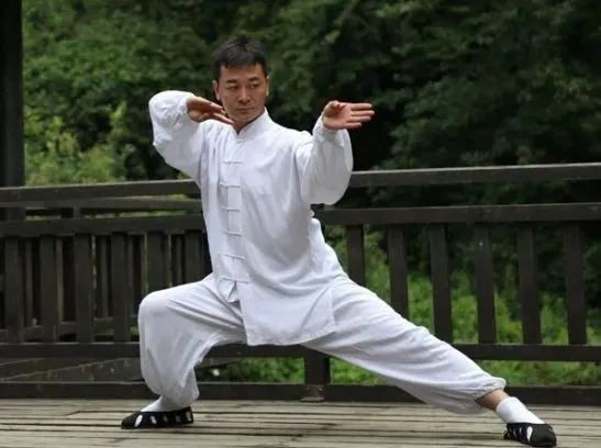 武术京剧什么是中国的国粹,武术是十大国粹中之一吗