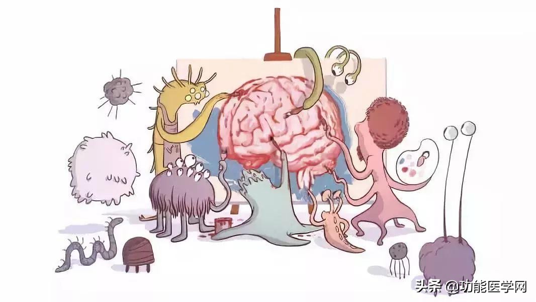 让人着迷的元素,微生物脑肠轴介绍
